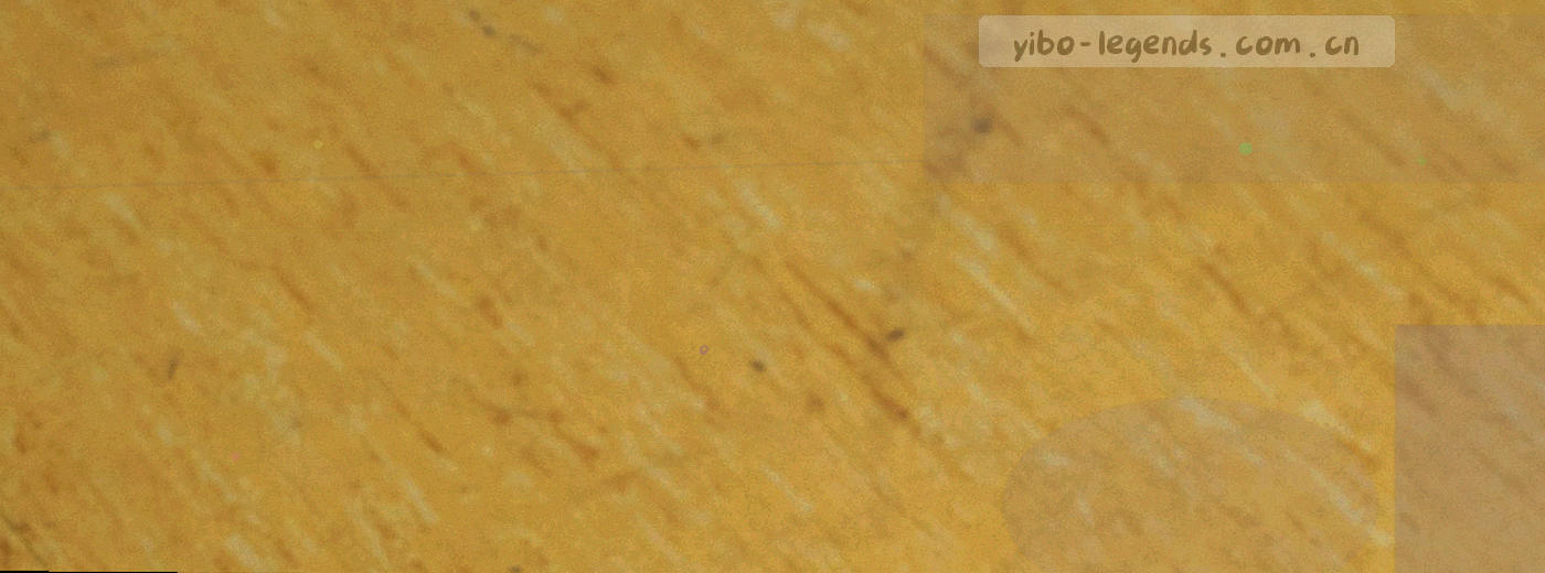 深色网格背景上的同心圆线框与荧光青高亮节点，示意信息分级与访问权限控制